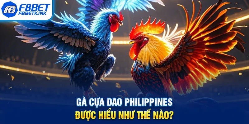 Gà cựa dao Philippines được hiểu như thế nào?