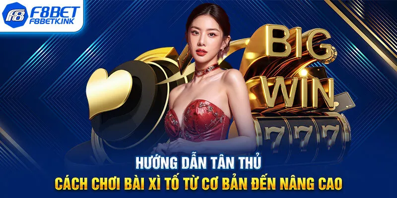 Hướng dẫn tân thủ cách chơi bài Xì Tố từ cơ bản đến nâng cao