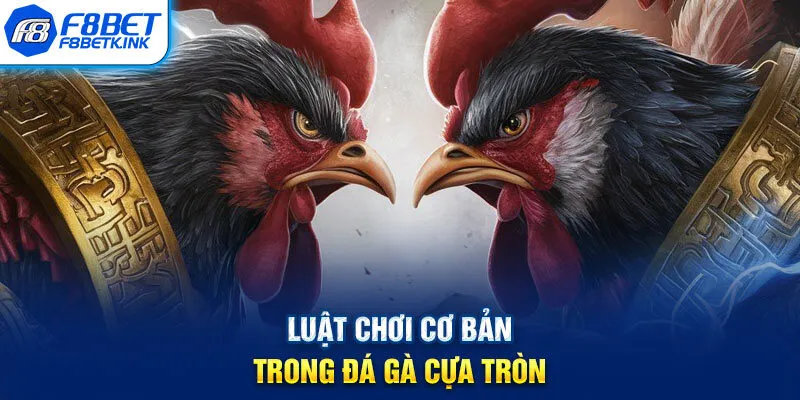 Luật chơi cơ bản trong đá gà cựa tròn